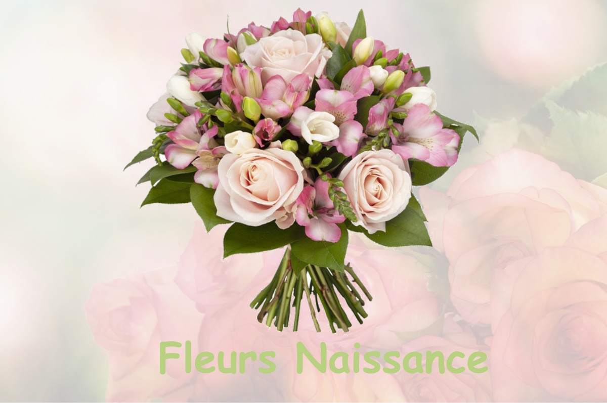 fleurs naissance CHEVILLY