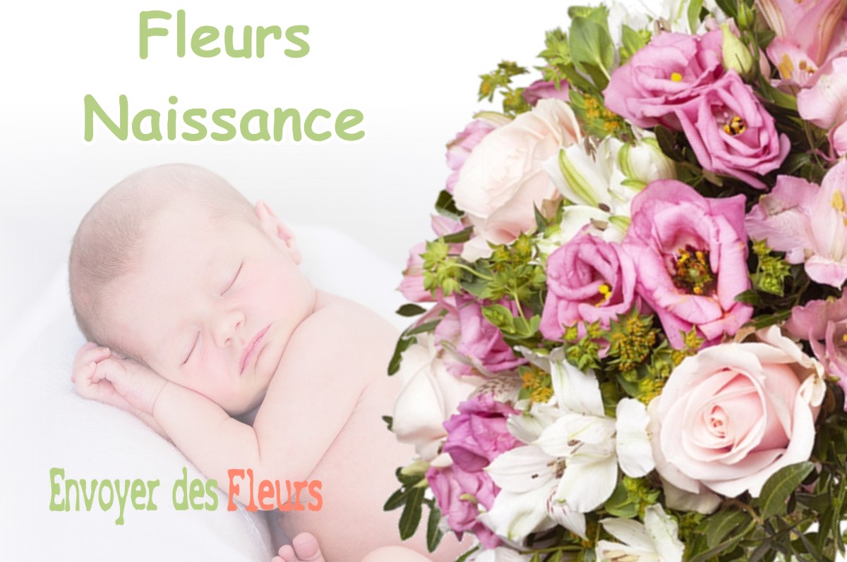 lIVRAISON FLEURS NAISSANCE à CHEVILLY